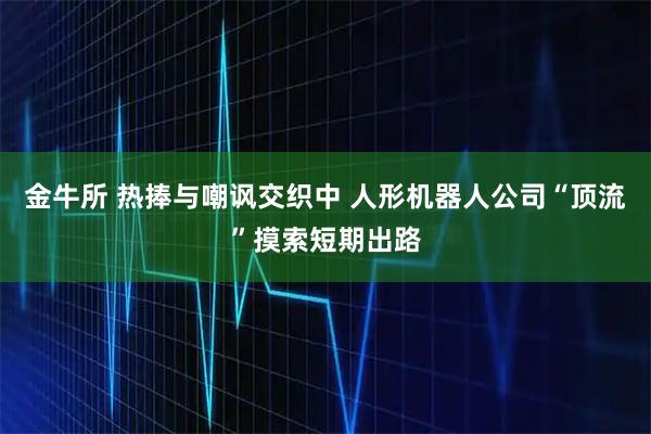 金牛所 热捧与嘲讽交织中 人形机器人公司“顶流”摸索短期出路