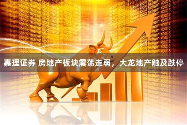 嘉理证券 房地产板块震荡走弱，大龙地产触及跌停