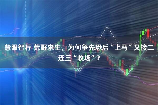 慧眼智行 荒野求生，为何争先恐后“上马”又接二连三“收场”？