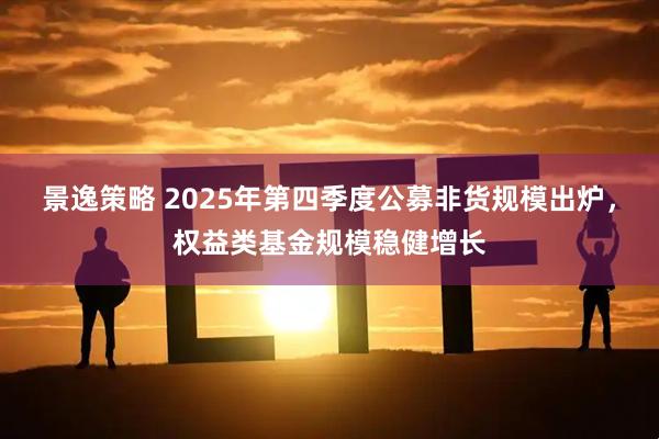 景逸策略 2025年第四季度公募非货规模出炉，权益类基金规模稳健增长