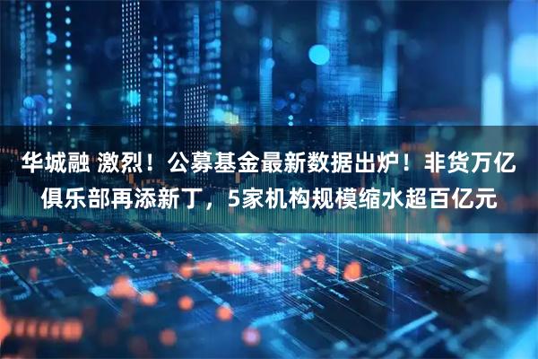 华城融 激烈！公募基金最新数据出炉！非货万亿俱乐部再添新丁，5家机构规模缩水超百亿元