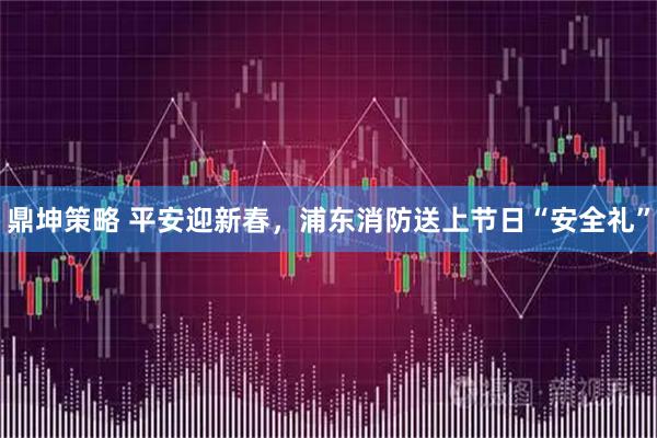 鼎坤策略 平安迎新春，浦东消防送上节日“安全礼”