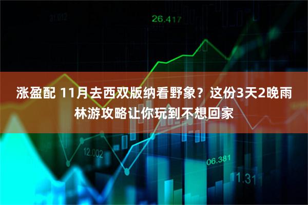 涨盈配 11月去西双版纳看野象？这份3天2晚雨林游攻略让你玩到不想回家