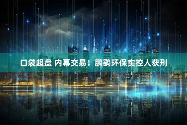 口袋超盘 内幕交易！鹏鹞环保实控人获刑